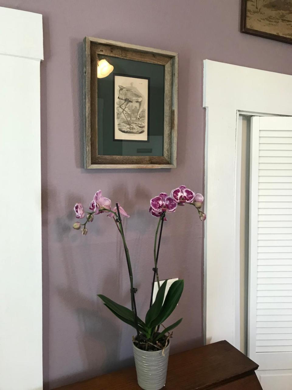 Whooping Crane Manor B & B Rockport Dış mekan fotoğraf
